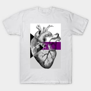 Demisexual Pride Anatomic Heart T-Shirt